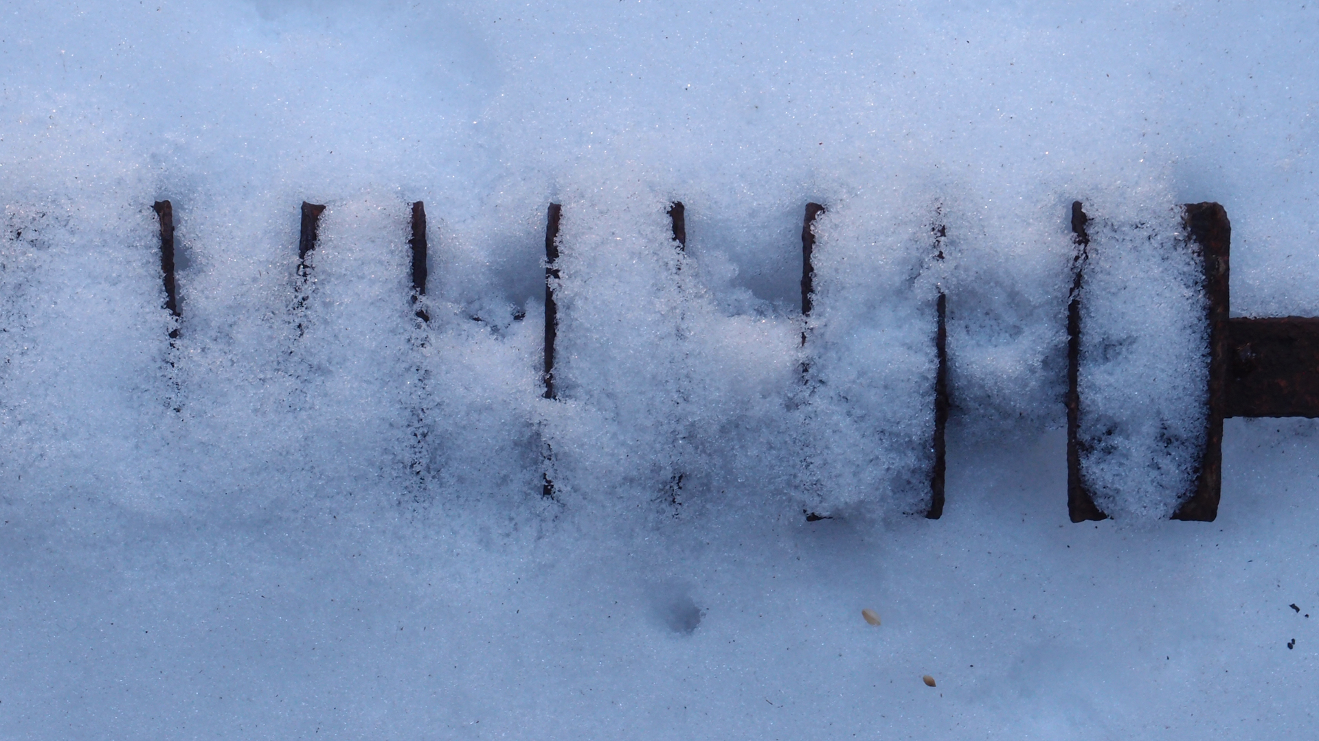 2021-01-30 Wasser in der Sple II (Remix John Cage 'Sonatas & Interludes', On-Off) (Komposition, Remix, Recording, Foto)